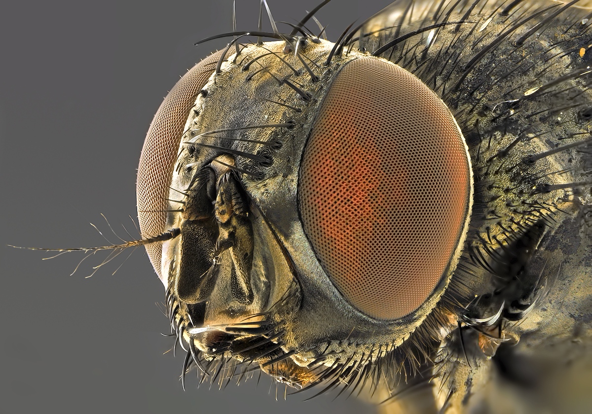 2019-08-18-14.17.30 ZS retouched.jpg