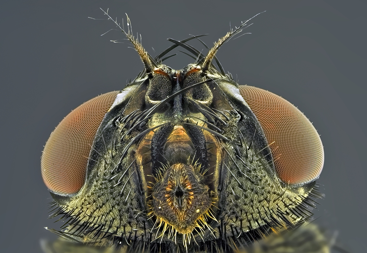 2019-08-18-11.42.45 ZS retouched.jpg