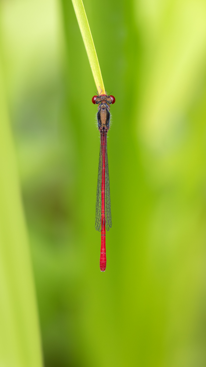 20190707_272---Kopie.jpg