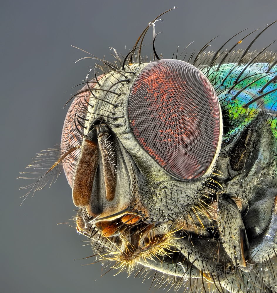 2019-09-03-17.50.17 ZS retouched.jpg