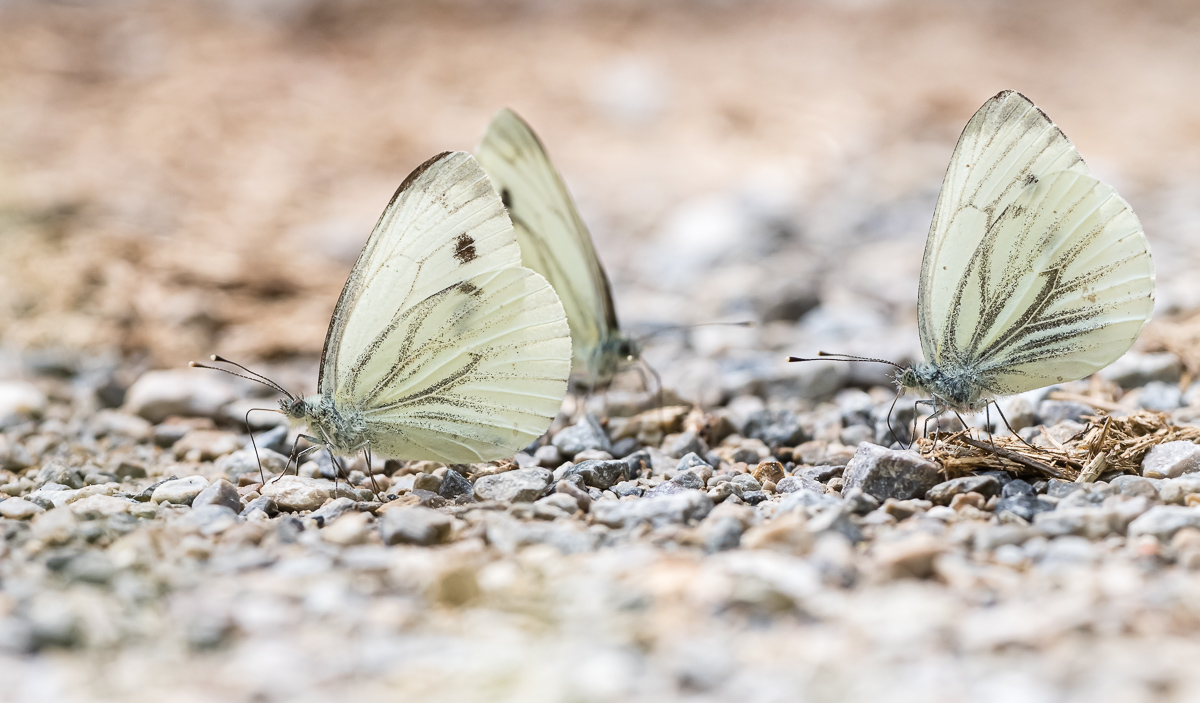Tour_12082019-357.jpg