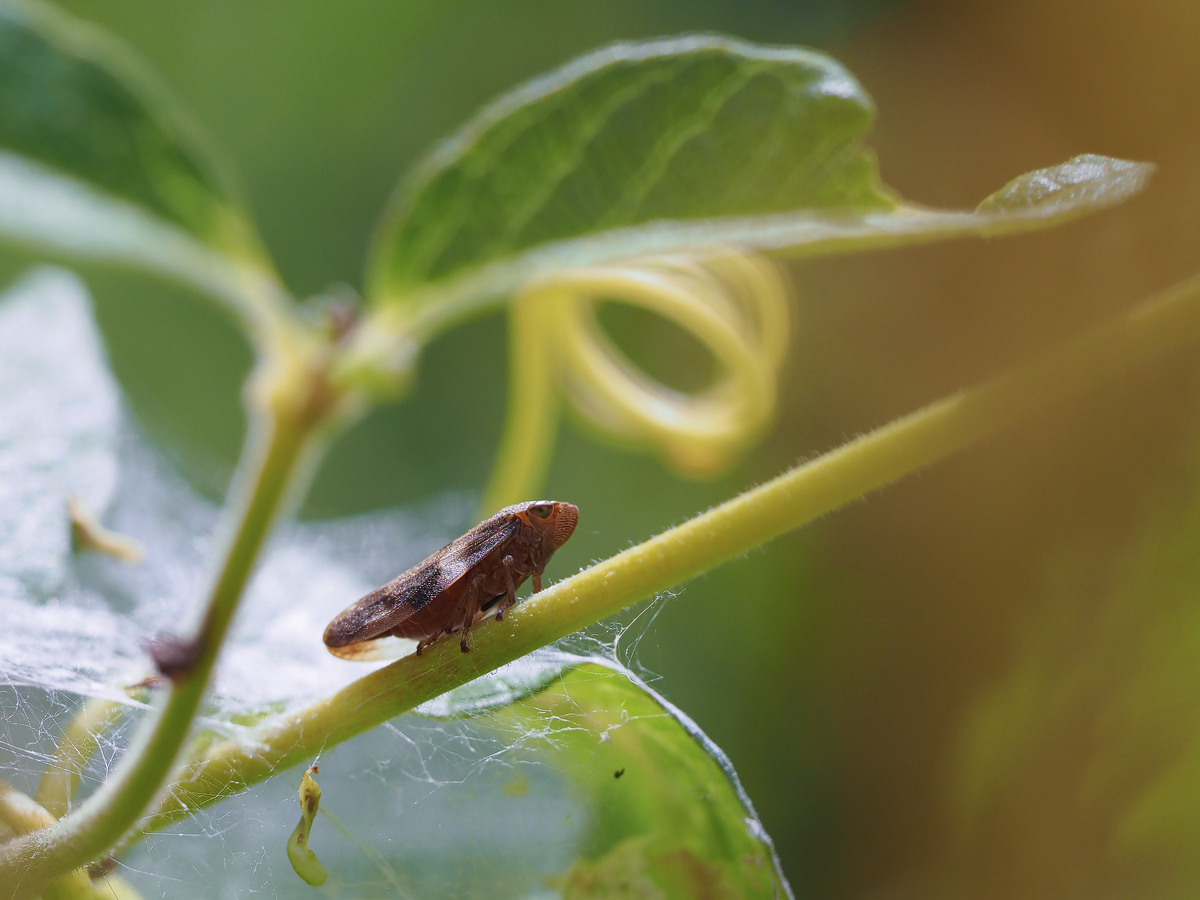 20190805_446---Kopie.jpg
