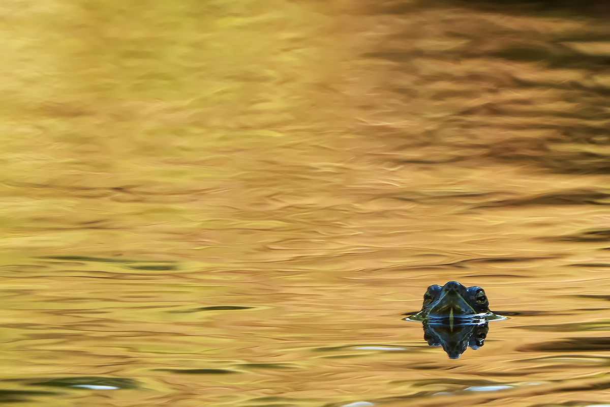 DSC02259.c.kl.mf.jpg