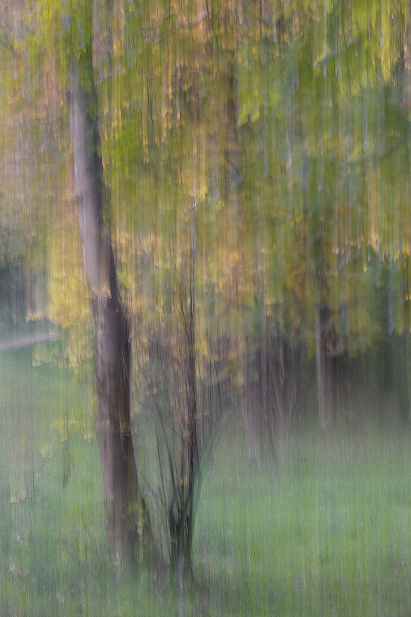 DSC02430 Herbstbäume... kl.jpg