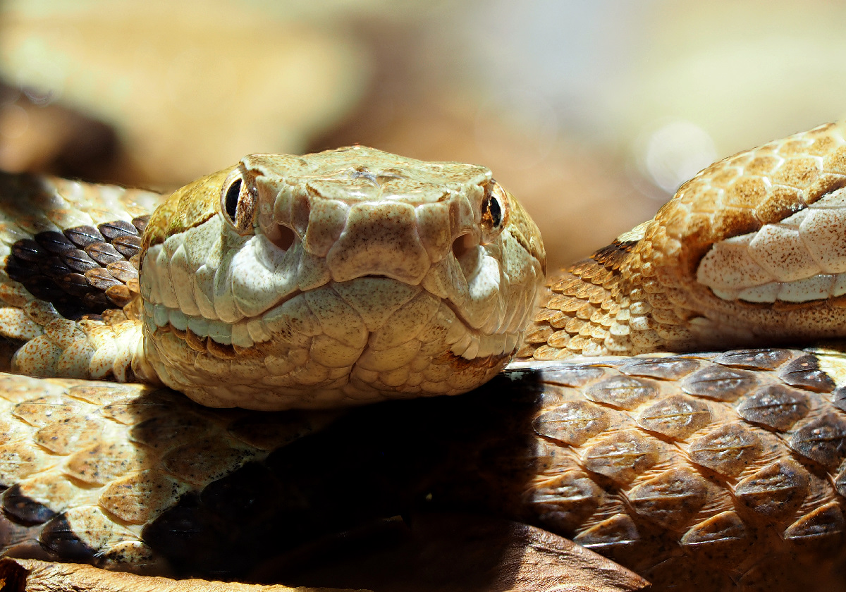2019-11-08_13-10-31_PB080068_stack_aus_14_kleinb.jpg