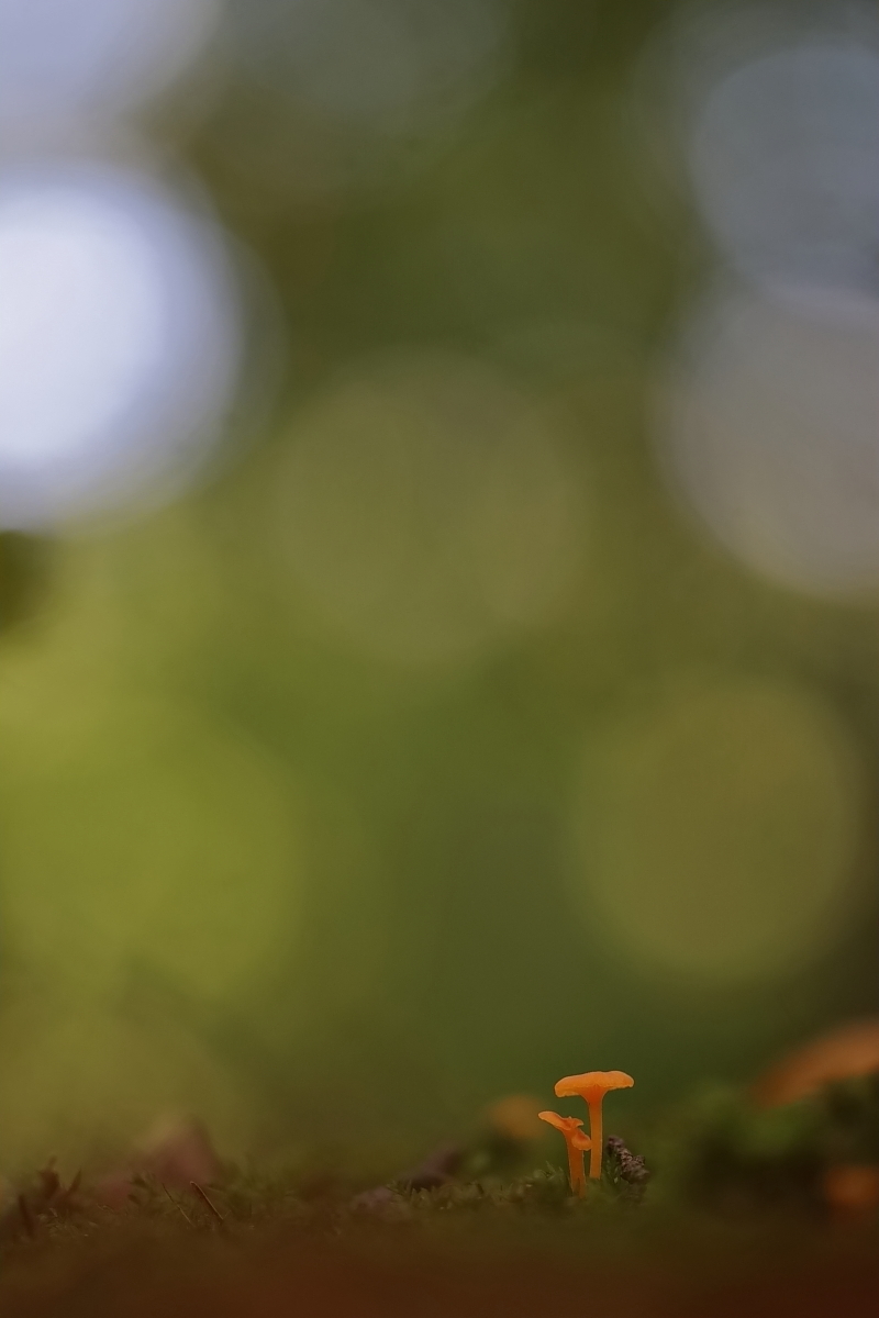 IMG_6054_rs.JPG