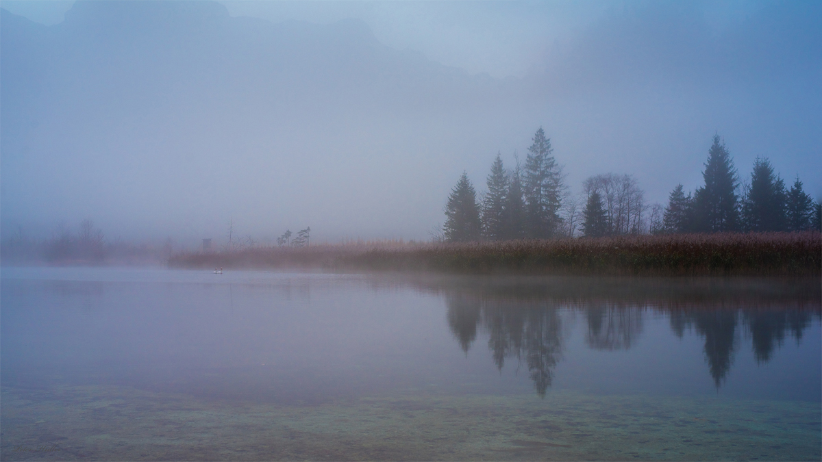 Nebel am See.jpg