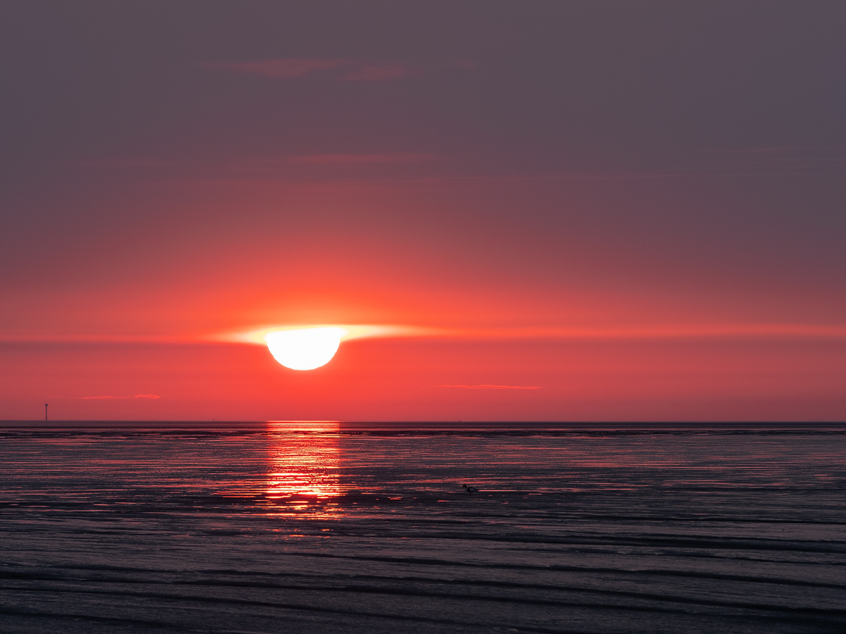 20190523_525---Kopie.jpg