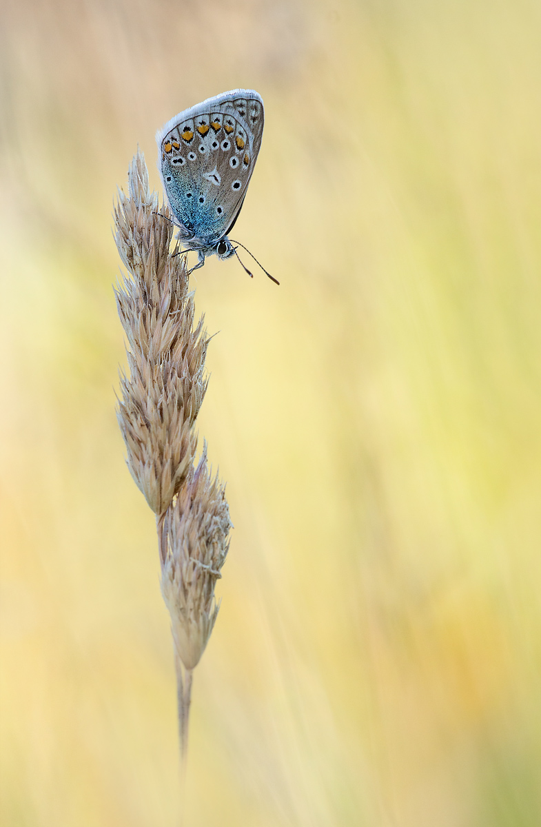 _MG_5622-Bearbeitet-4.jpg