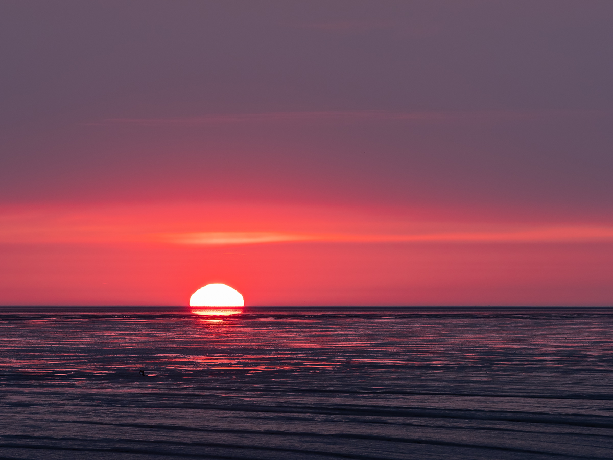 20190523_552---Kopie.jpg