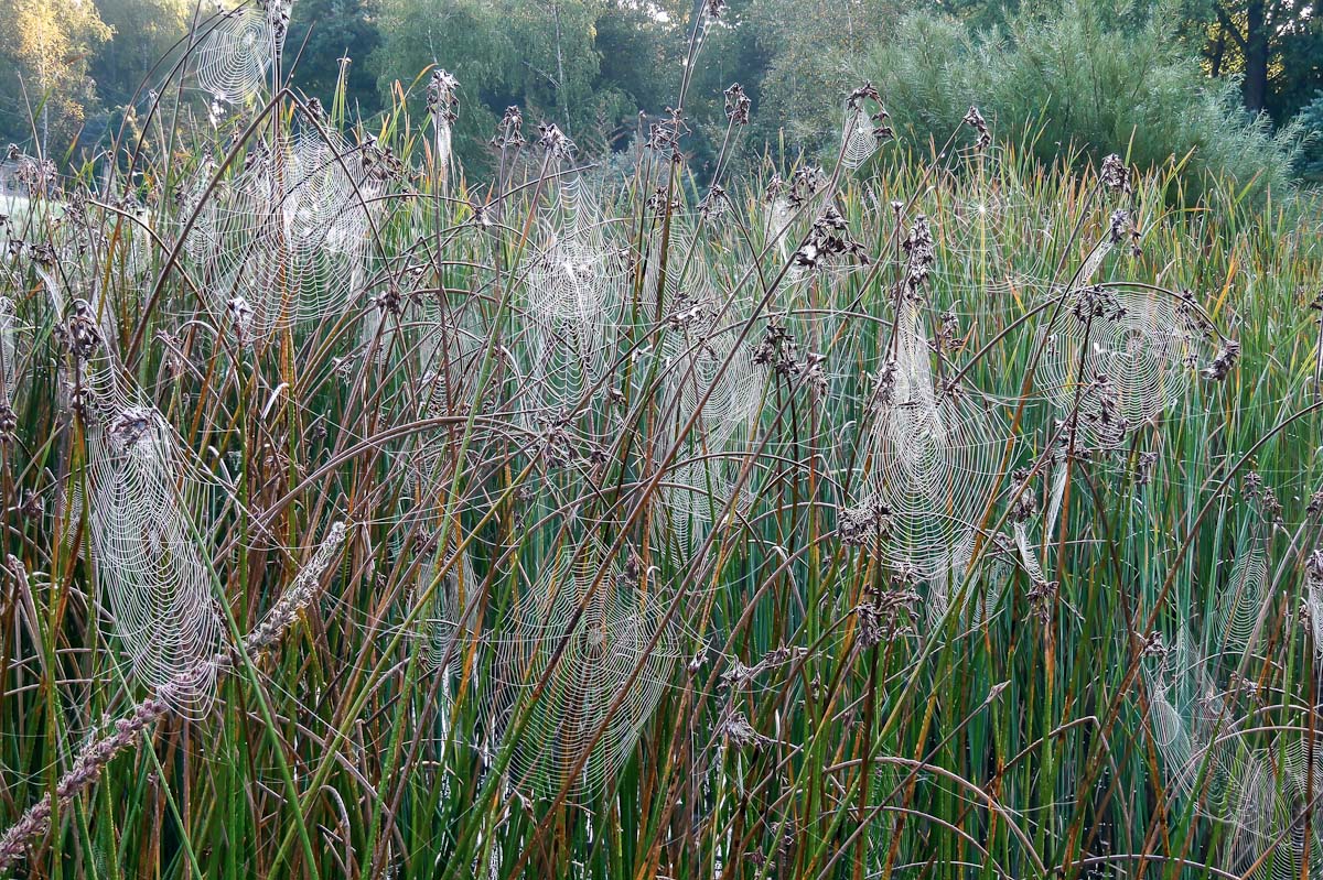 2019-09-15 10-57-00 (A,Radius8,Smoothing4).jpg