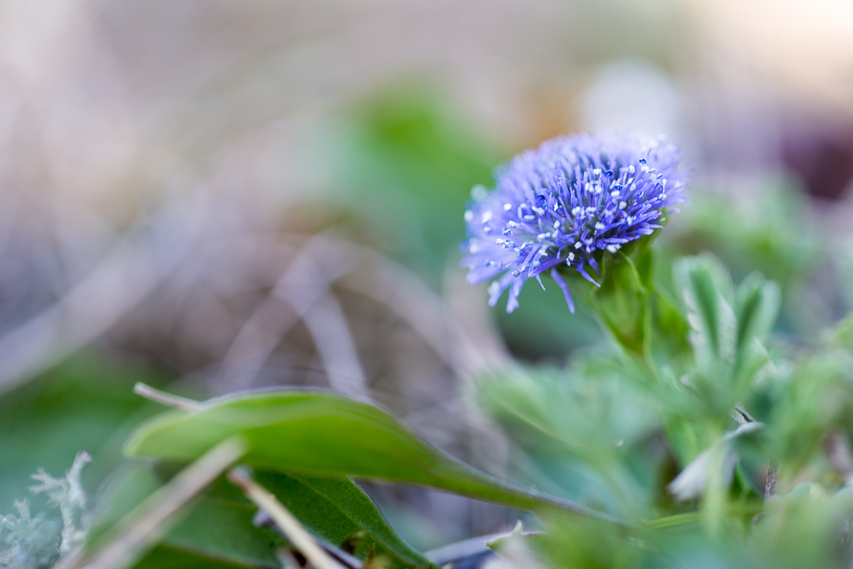 11042020-032.jpg