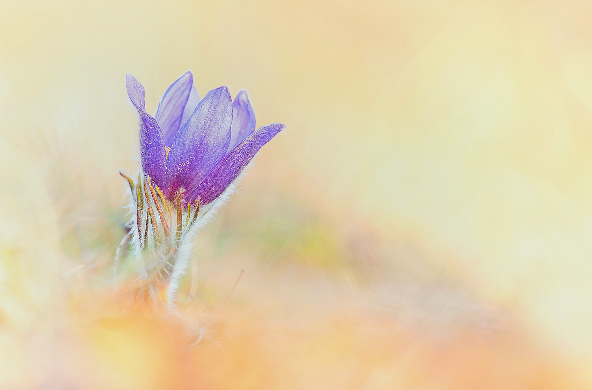 _MG_1396-Bearbeitet-Bearbeitet-Bearbeitet-Bearbeitet-3 Kopie Kopie.jpg