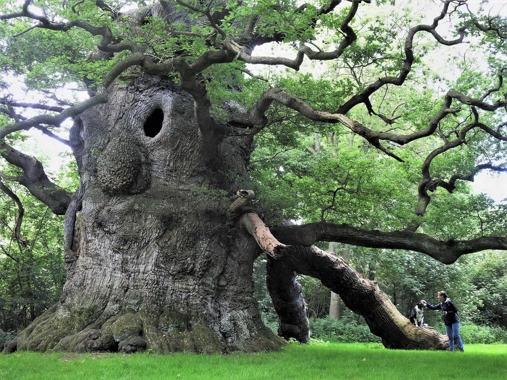 Wild Scotland Tour 2018 213.JPG