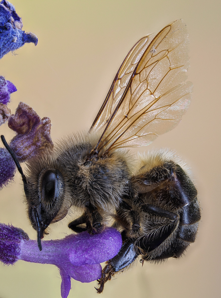 LS-Fotografie 20200705 001-3.jpg