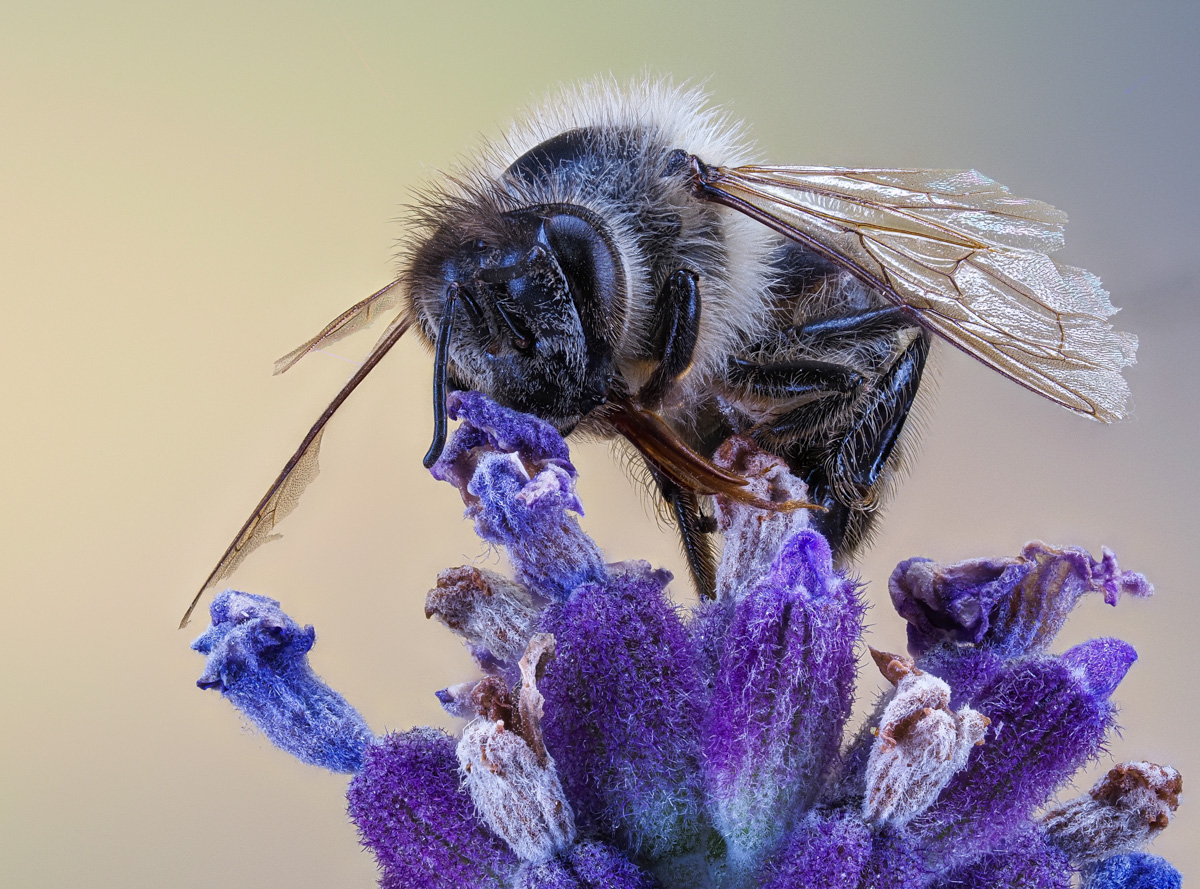 LS-Fotografie 20200705 002-2.jpg