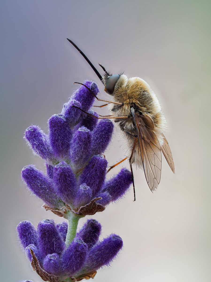 LS-Fotografie 20200607 001.jpg