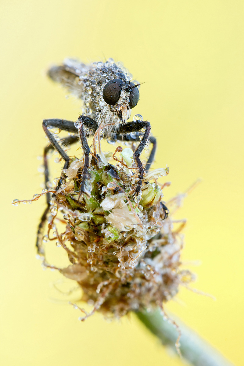 _MG_9784-Bearbeitet1 Kopie_bearbeitet-1.jpg