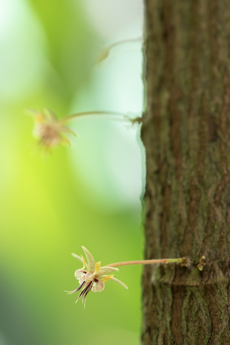 Kennt eigentlich jeder.jpg