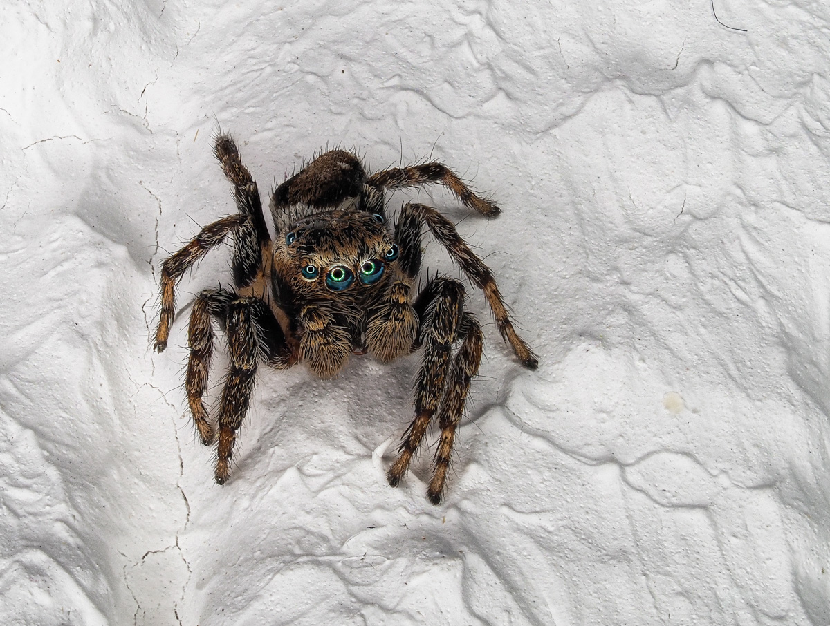 LS-Fotografie 20200528 001.jpg