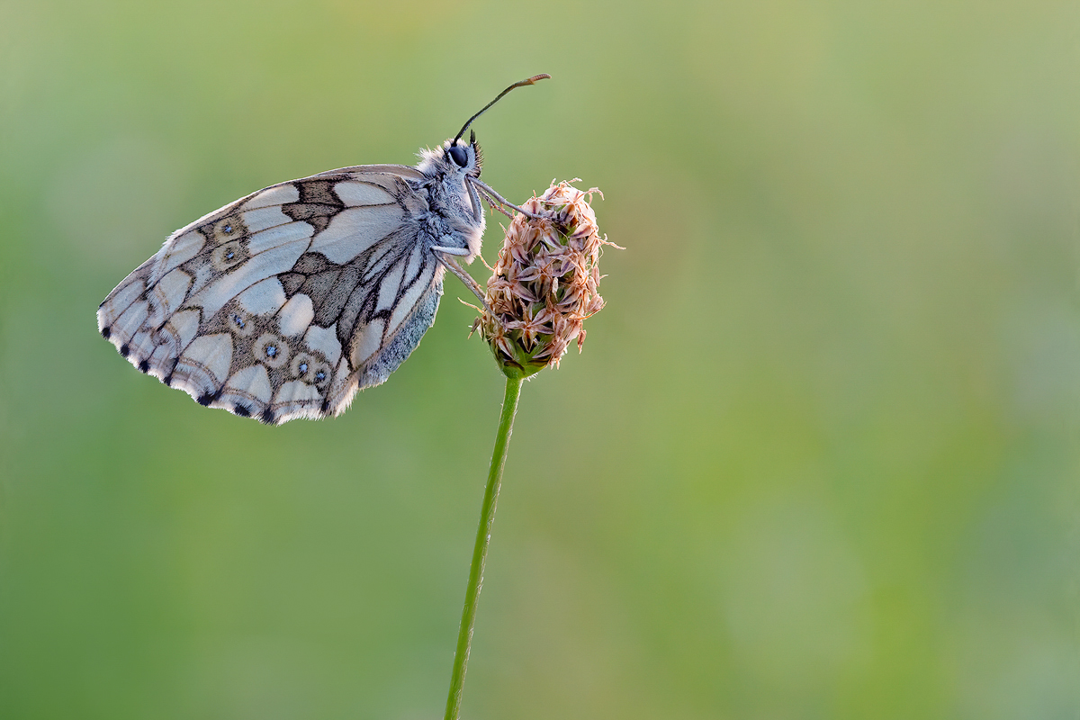 Stack_75 Bilder_1200 mm breit.jpg