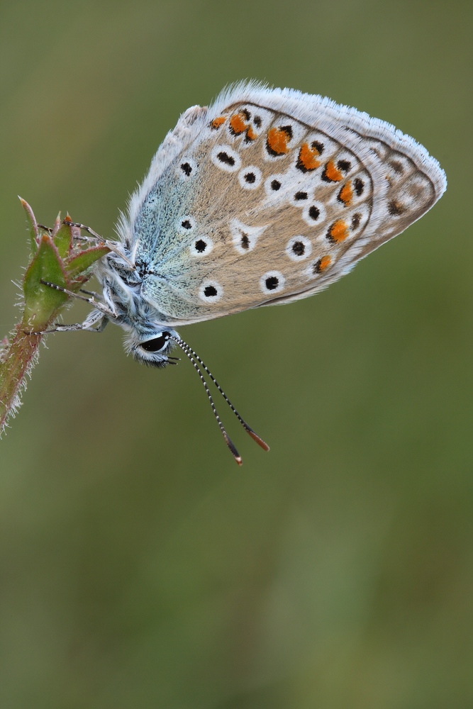 comp_IMG_5797.jpg