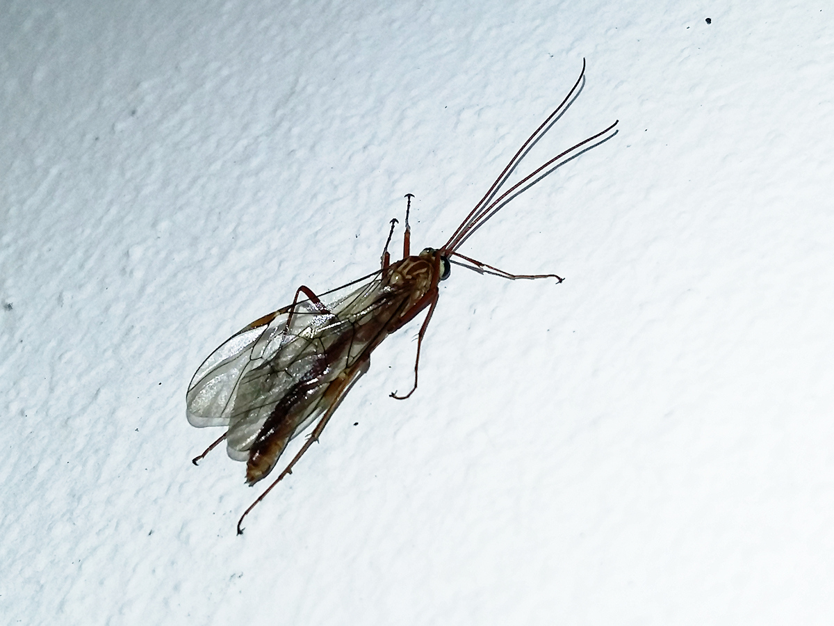 20201104_081715_1604674818139_DxO.jpg