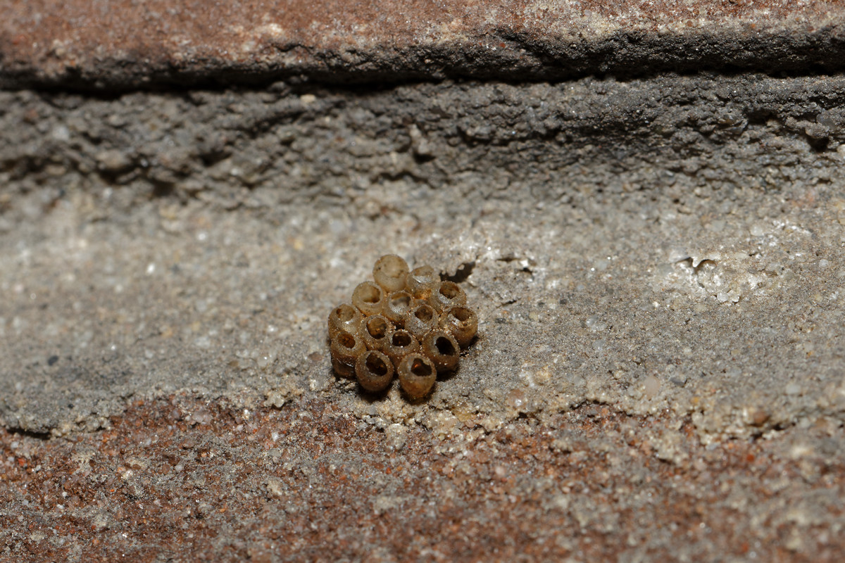 IMG_6708_DxO-Forum.jpg