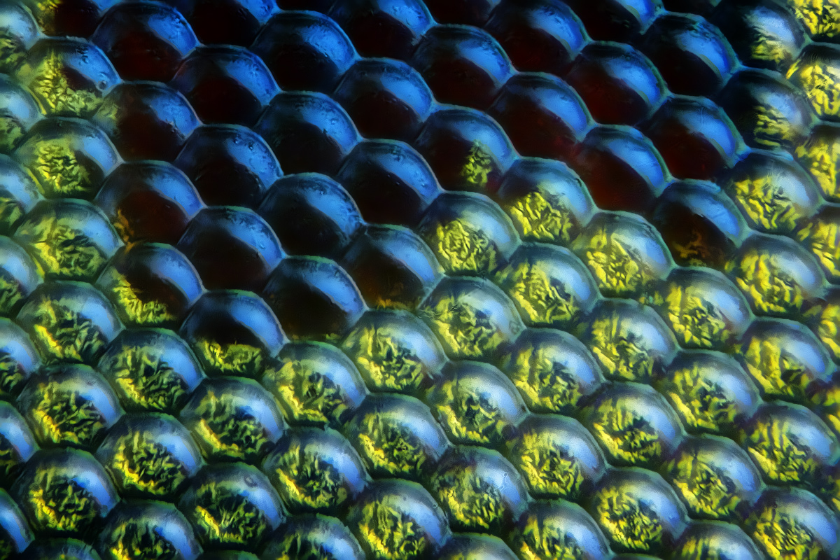 M80A75_TPnd_WS1200_TPc_G_K_Q87.jpg
