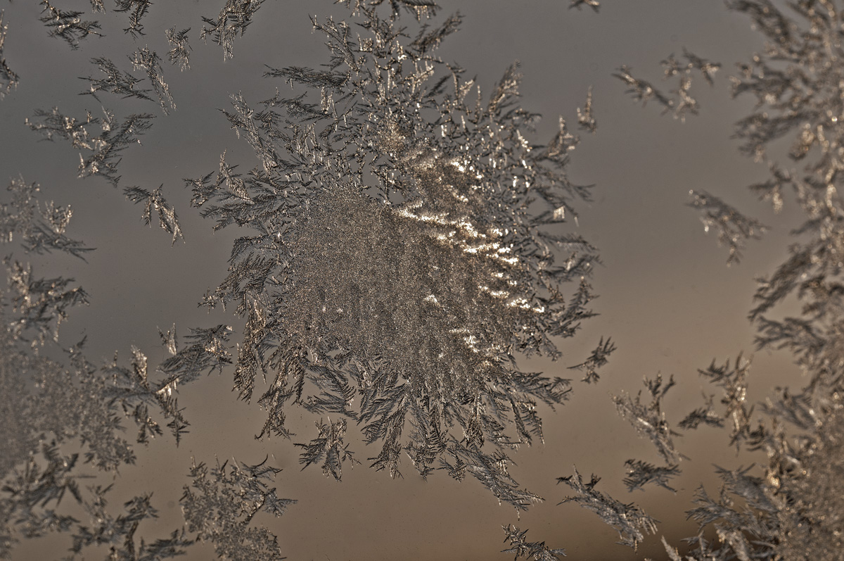 DSC_2204.jpg