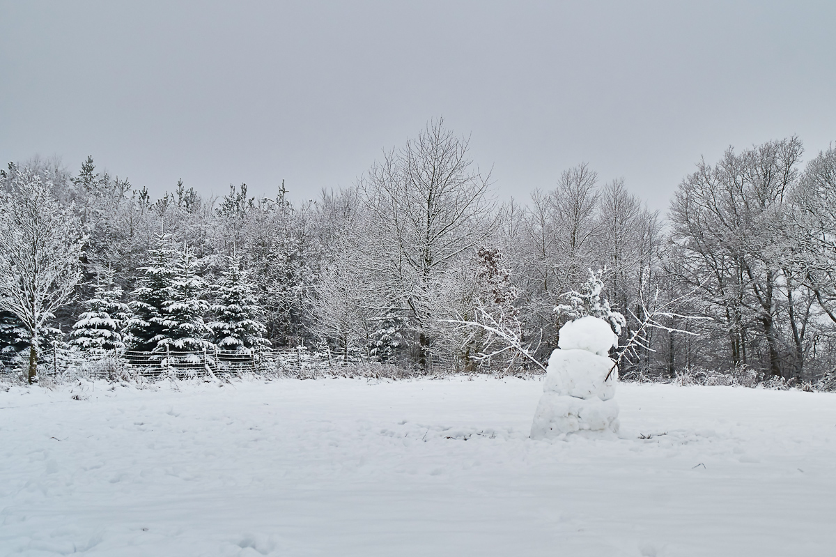winter_5.jpg