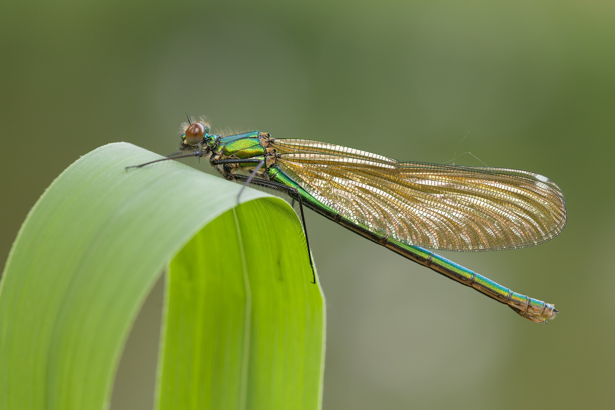 20140528_0519---Kopie.jpg
