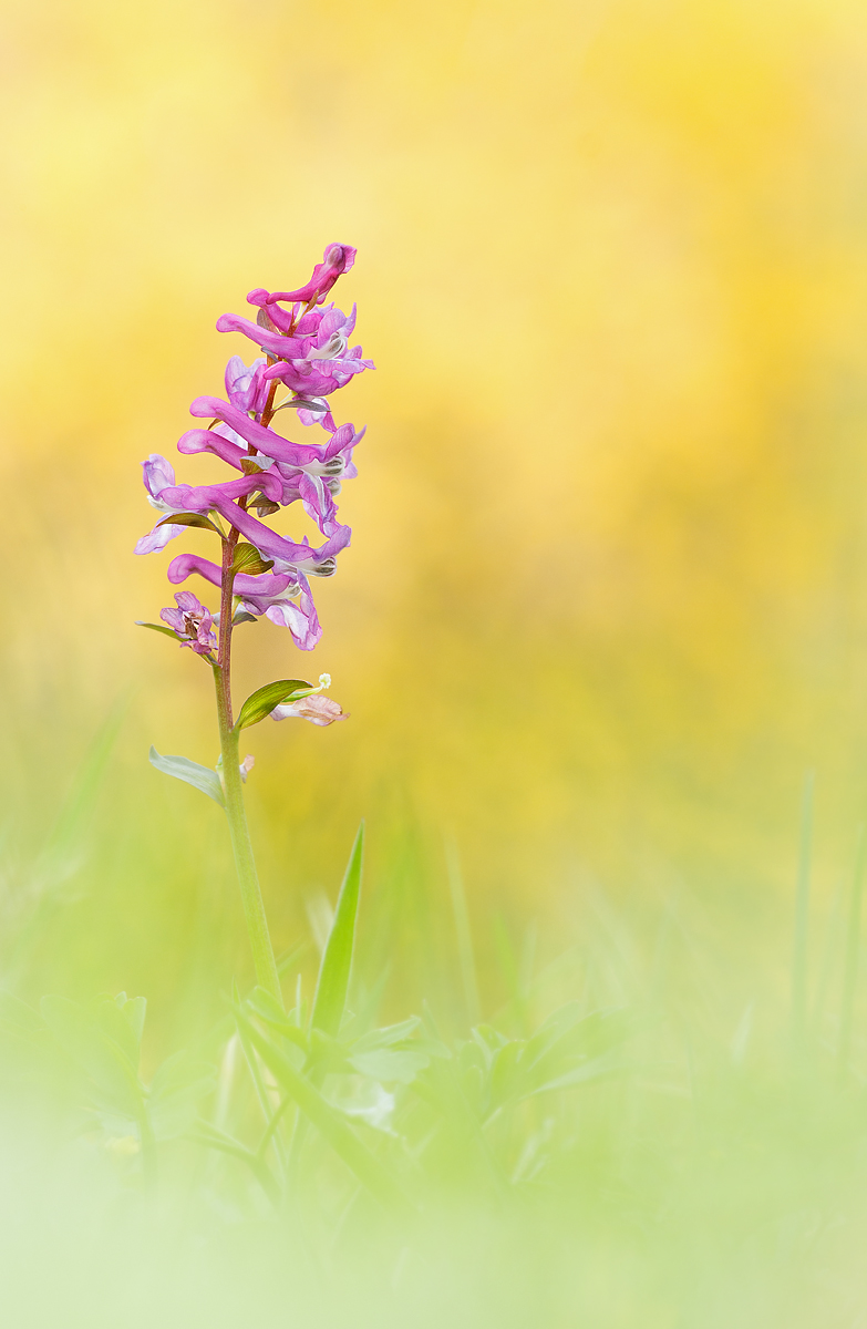 _MG_1327-Bearbeitet Kopie.jpg