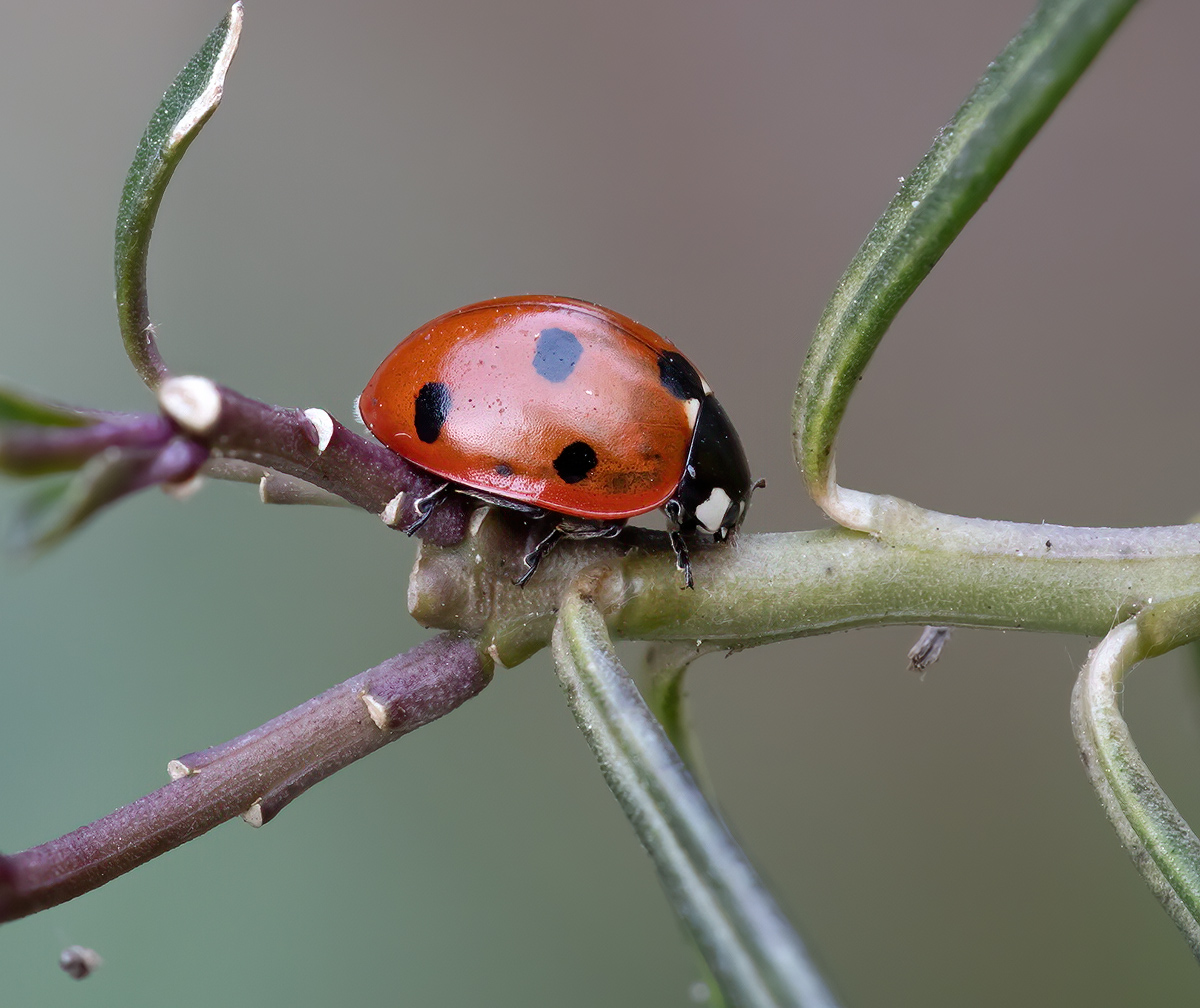 stack 10 bilder 2 klein.jpg