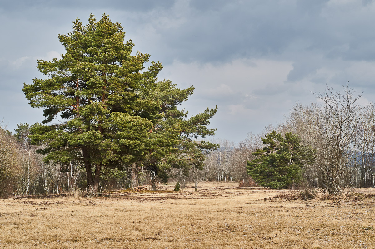 Naturschutzgebiet.jpg