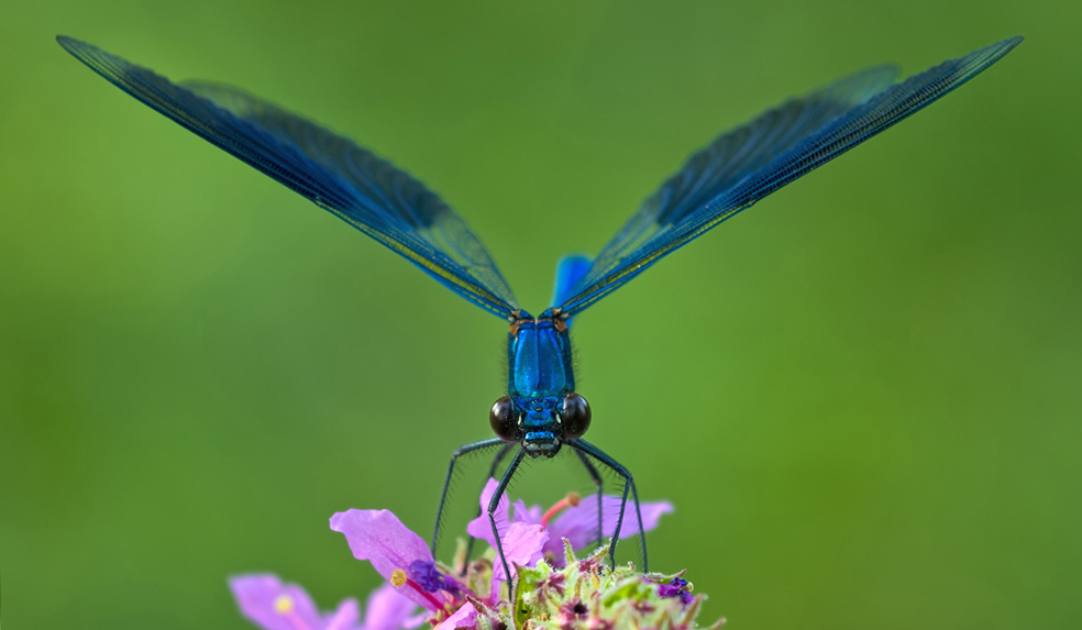 0010 F-10 Sec 0,50.jpg