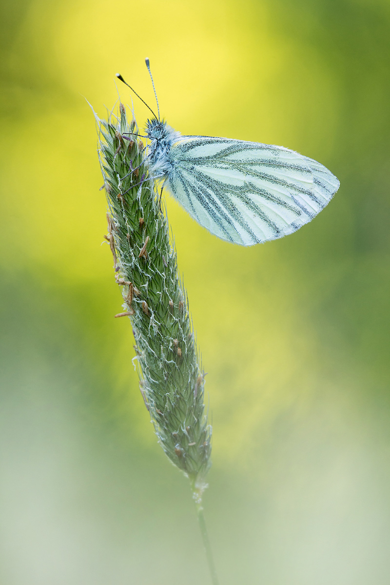 _MG_8324-Bearbeitet Kopie_bearbeitet-2.jpg