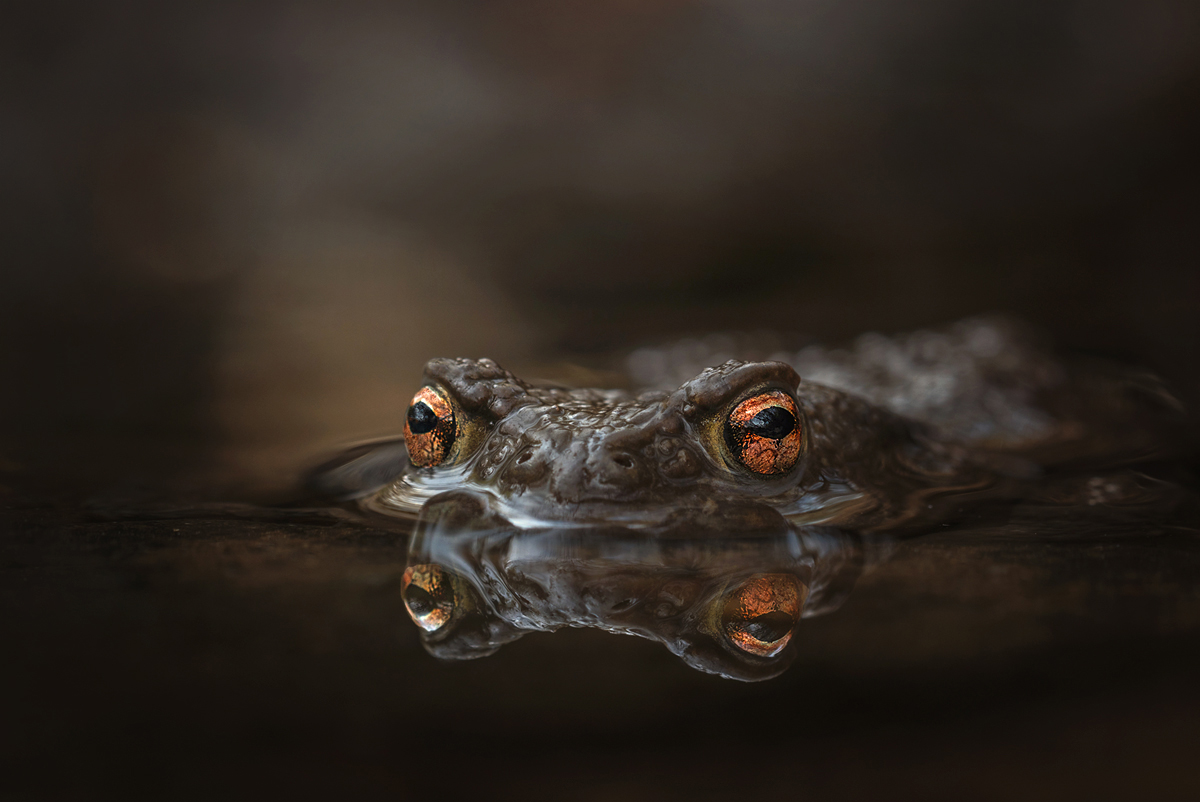 Darkness MF Kopie - Kopie.jpg