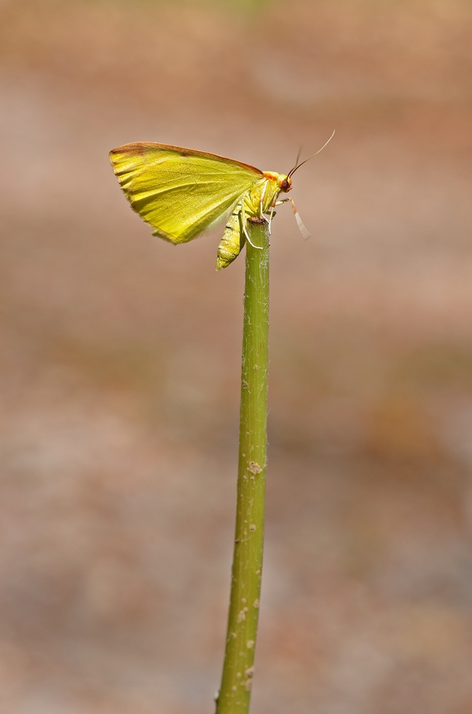 IMGP1046 lampertstal.JPG