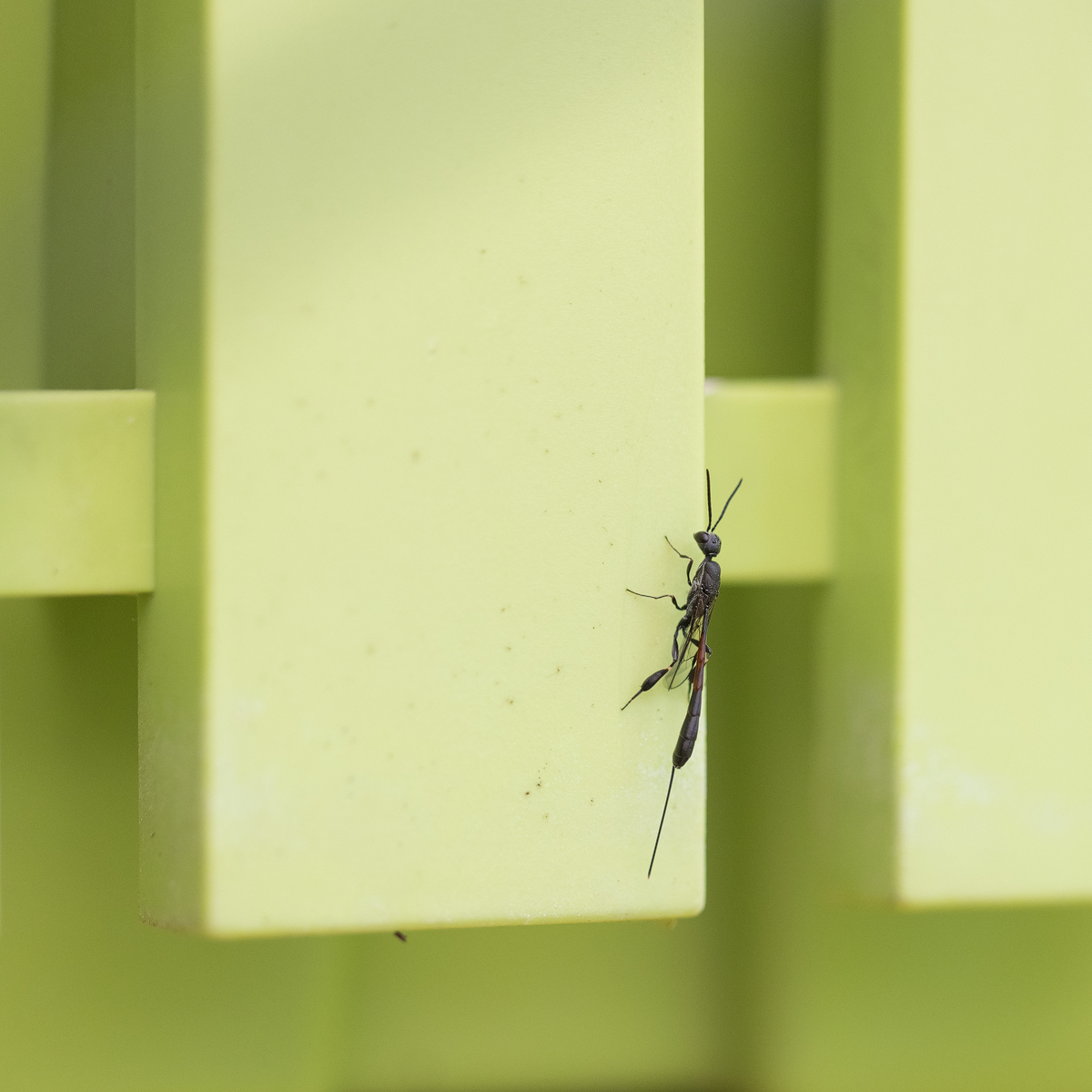 20210613-0866---Kopie.jpg