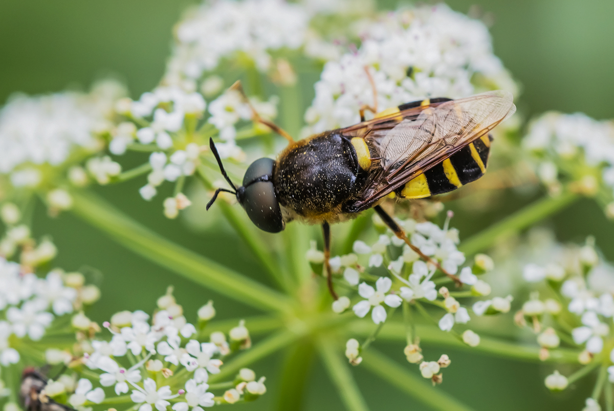 _MG_8114-Bearbeitet - Kopie.jpg