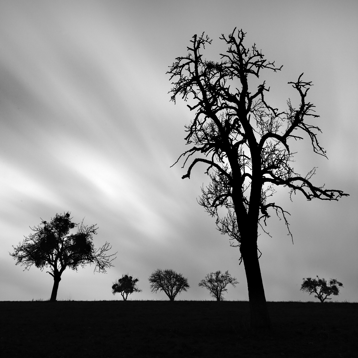 _MGL3828sw-var-q.jpg