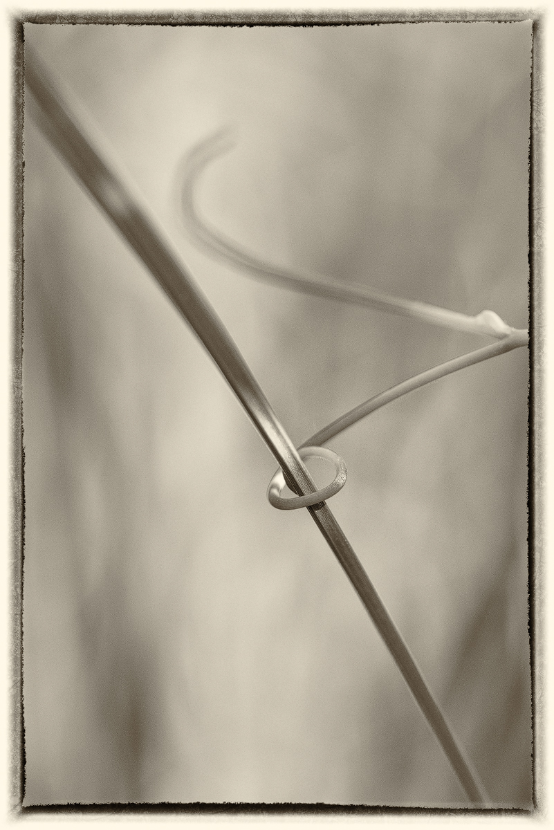 20210601-0407-735-Sepia2.jpg