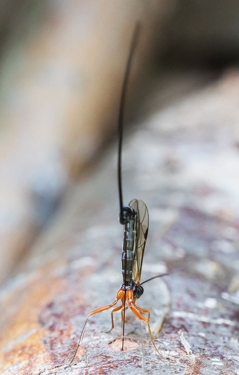 _MG_6821-Bearbeitet - Kopie.jpg