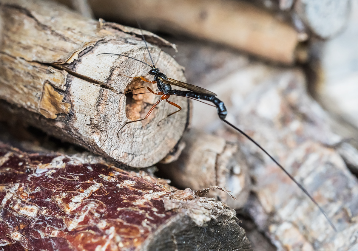 _MG_6860-Bearbeitet - Kopie.jpg