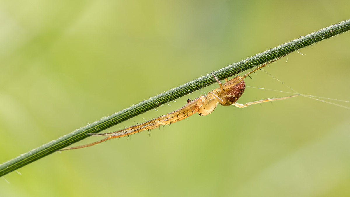 IMG_1933_ - Kopie.jpg