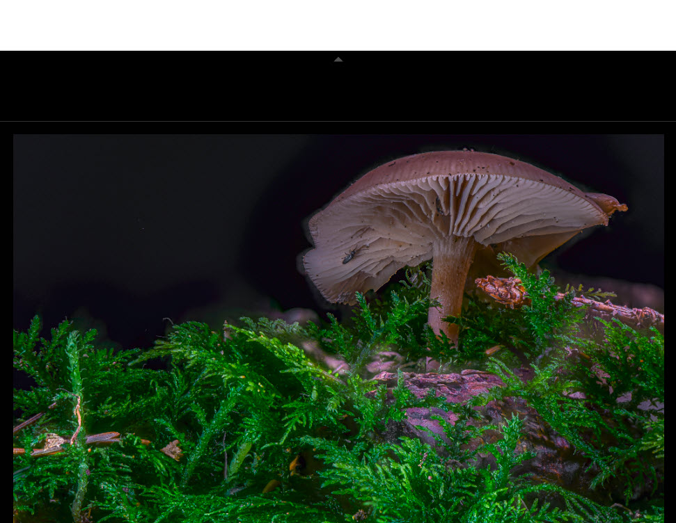 tiff nach speichern.jpg