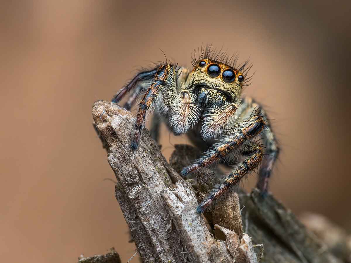 MIR-20210515-5150148-Bearbeitet.jpg