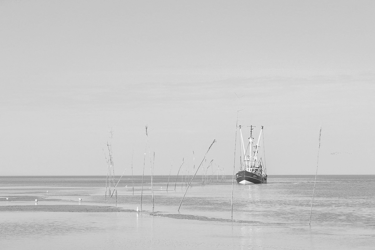 20210908-0994---Kopie.jpg