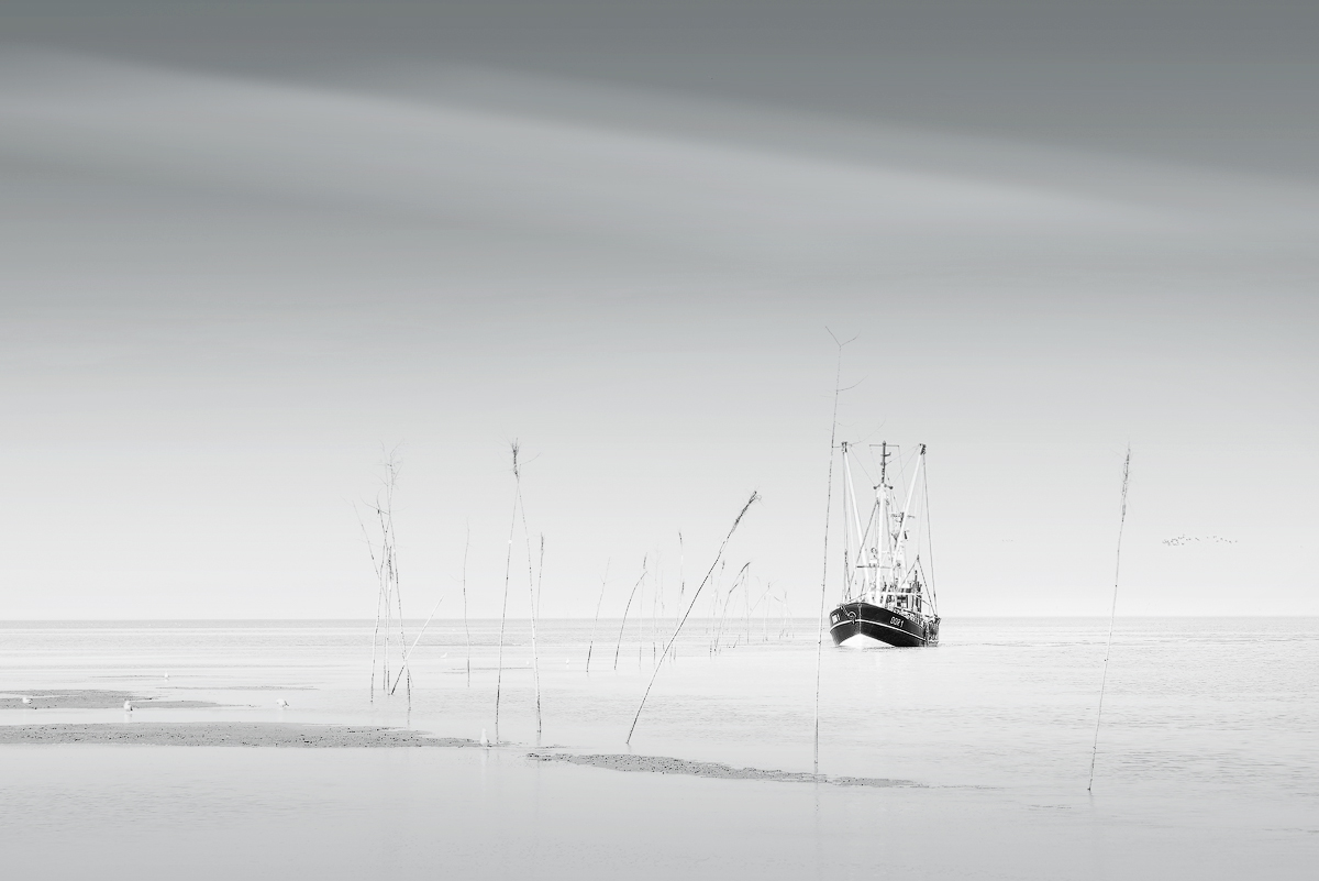 20210908-0994-SW.jpg
